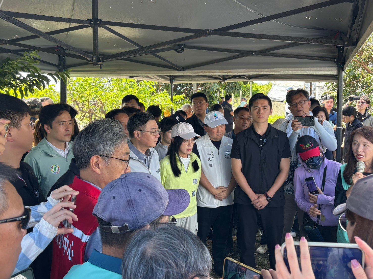 恐因風速數據失準無著落  農民憂楊柳風災「釋迦理賠卡關」