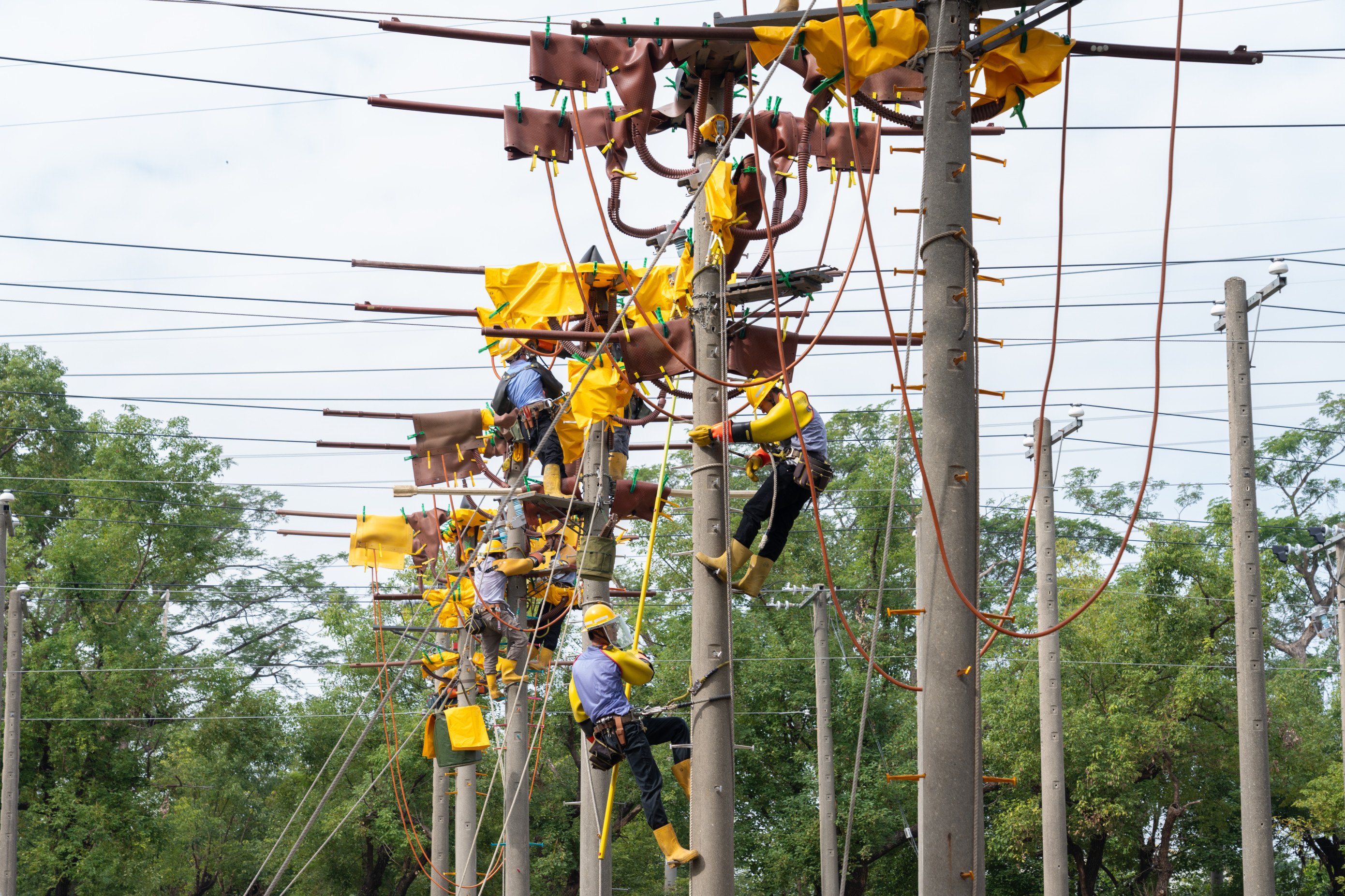 畢業即就業!台電獎學金招考70人 9/1開放報名