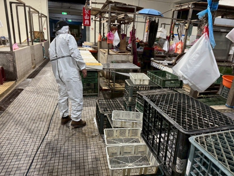 非洲豬瘟禁令解除