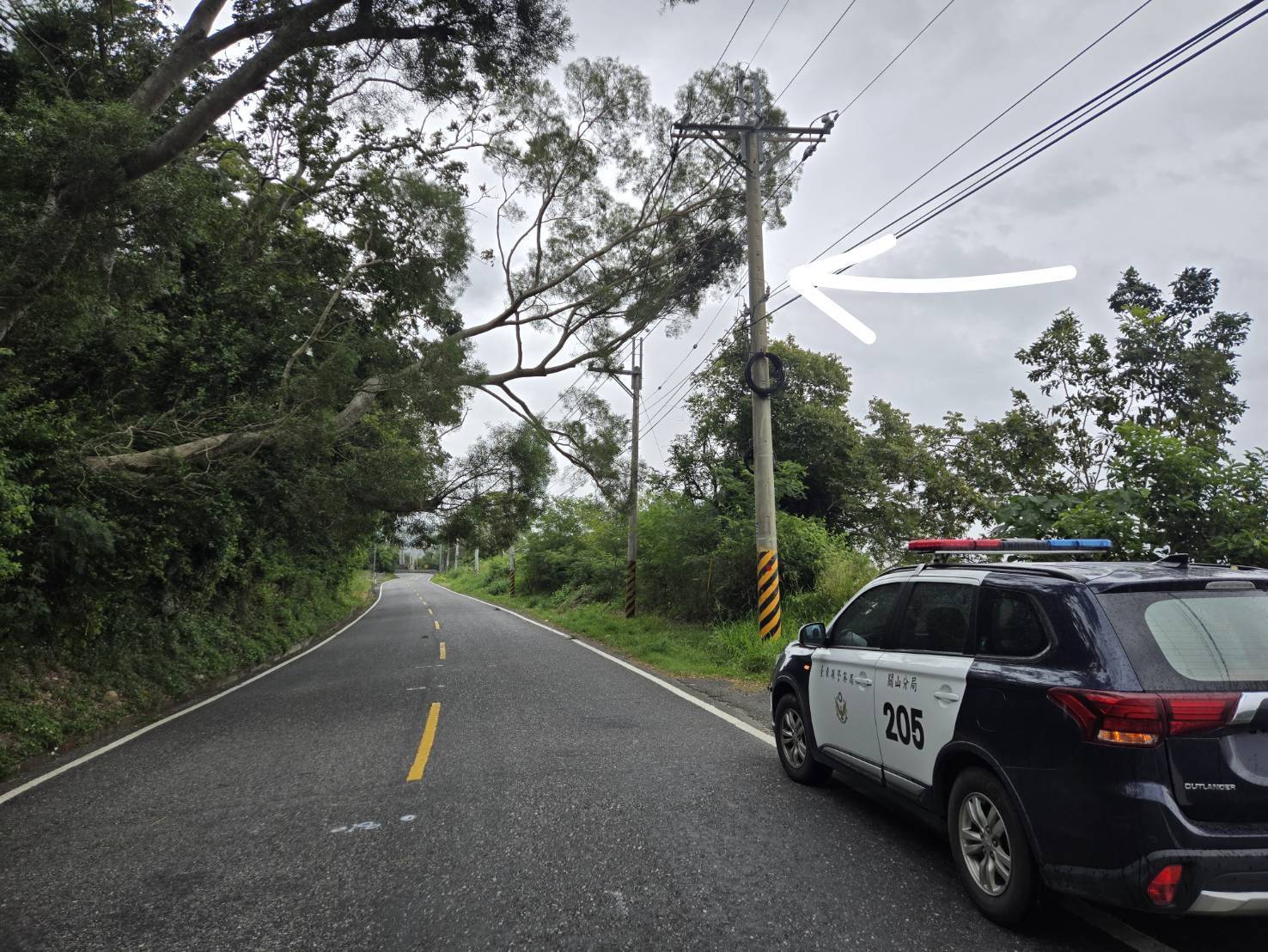 15米邊坡路樹不敵 鳳凰颱風 外圍環流強風傾倒 海端警察即時應變處置護交安