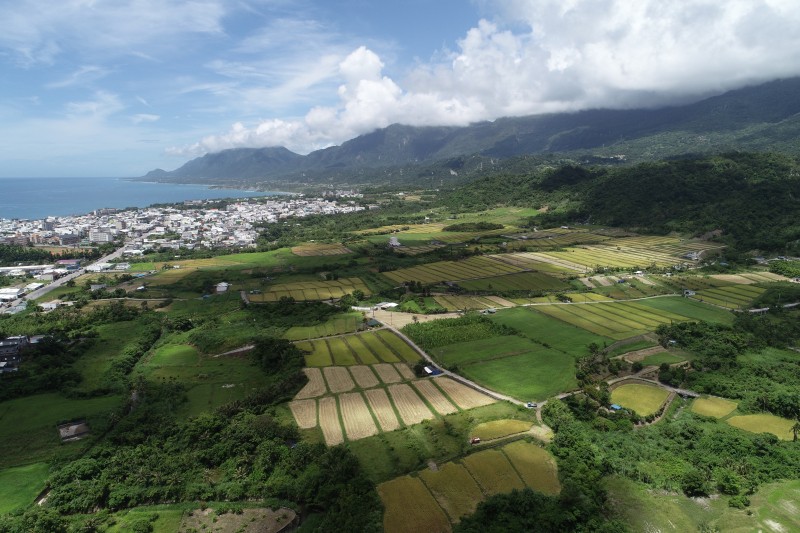 臺東縣環保局呼籲勿露天燃燒稻草
