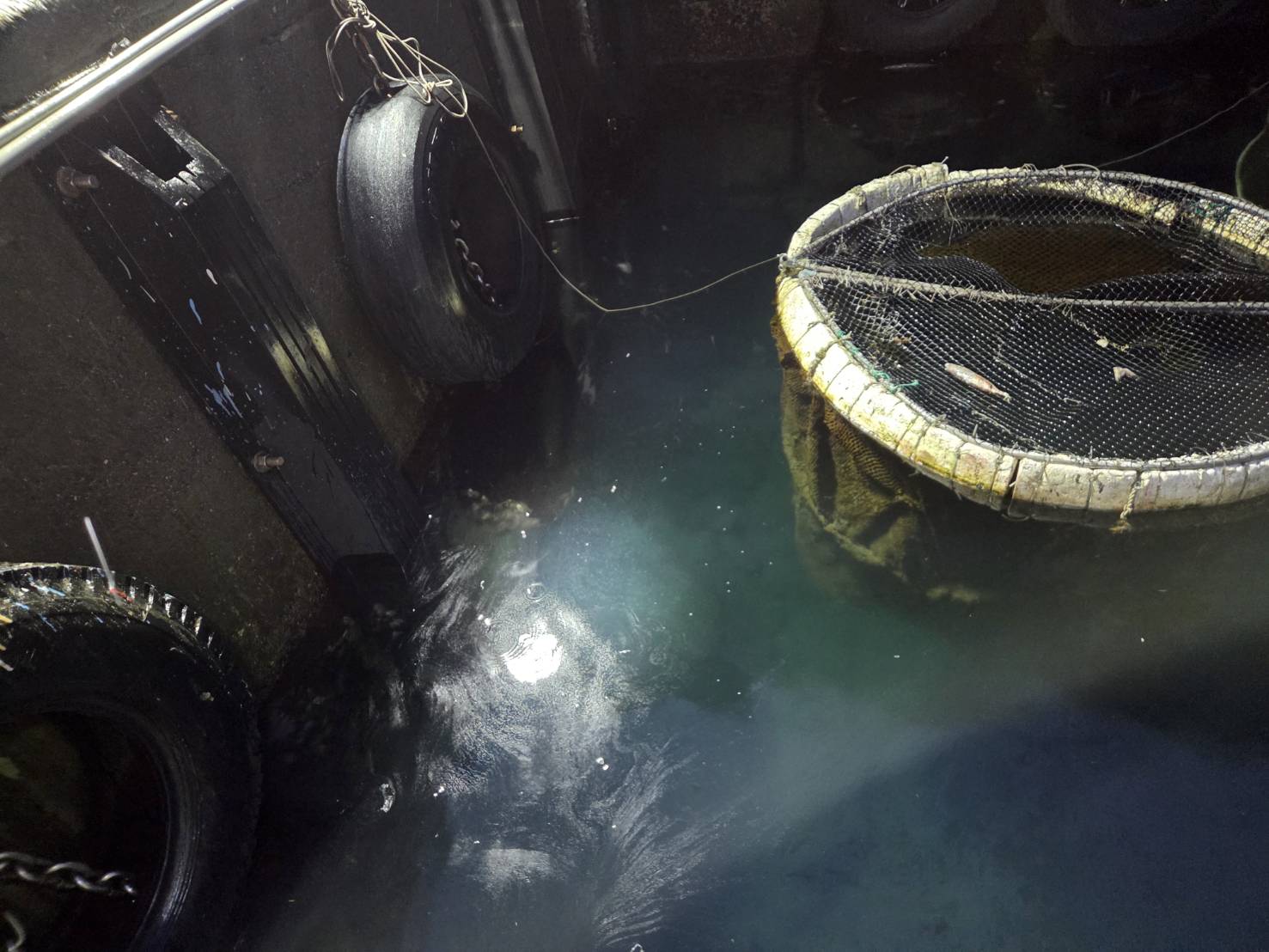 綠島南寮漁港船筏疑漏油 海巡第一時間使用吸油棉片