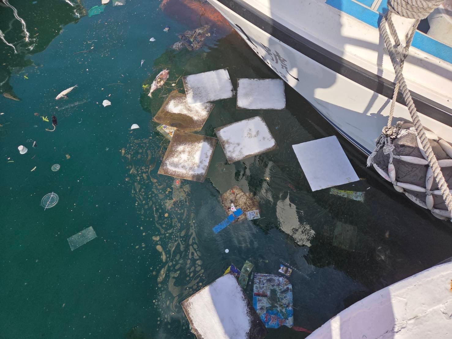 綠島南寮漁港浮油污，海巡即時應處護生態