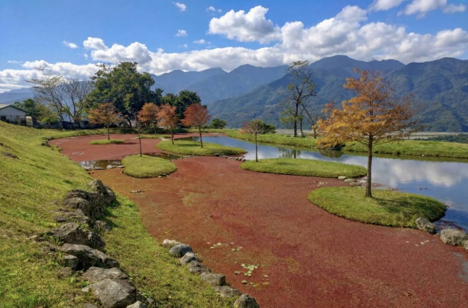 自然景色與心靈沉靜—東富禪寺池塘紅景吸引遊客朝聖