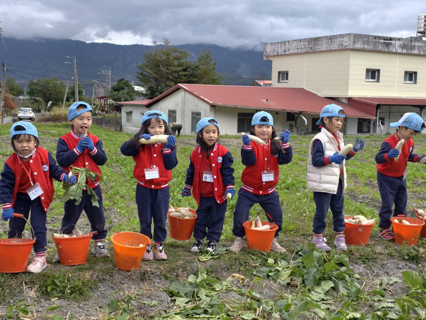 新北國際幼兒園第三度走進關山拔蘿蔔　攜手鎮公所推動食農體驗教育