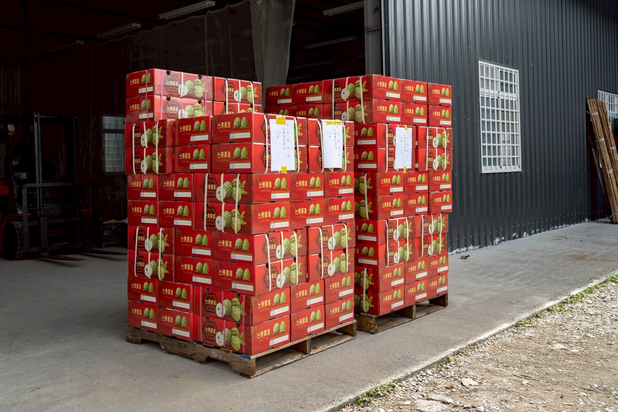 力挺臺東鳳梨釋迦 彰化縣政府訂購130箱助農 饒慶鈴表感謝