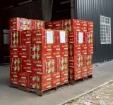 力挺臺東鳳梨釋迦 彰化縣政府訂購130箱助農 饒慶鈴表感謝