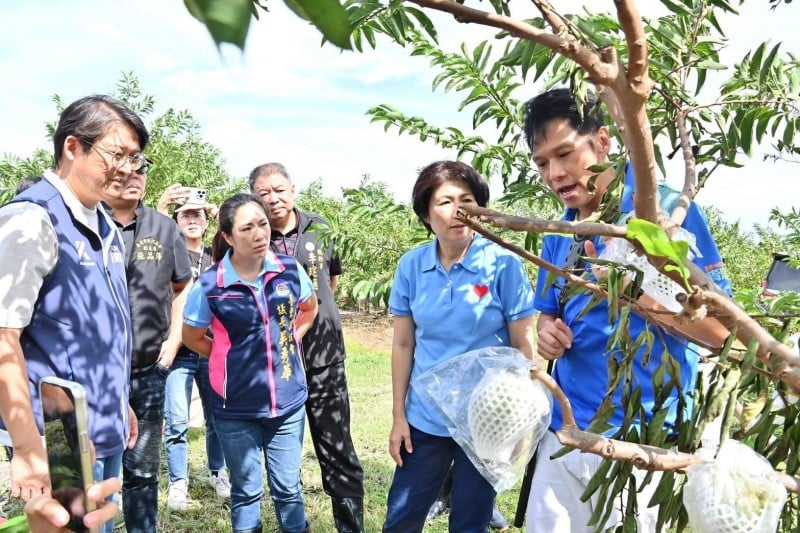 議長吳秀華守住釋迦農民心血