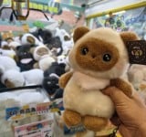 娃娃機店林立　臺東市街頭再現「夾趣」風潮 