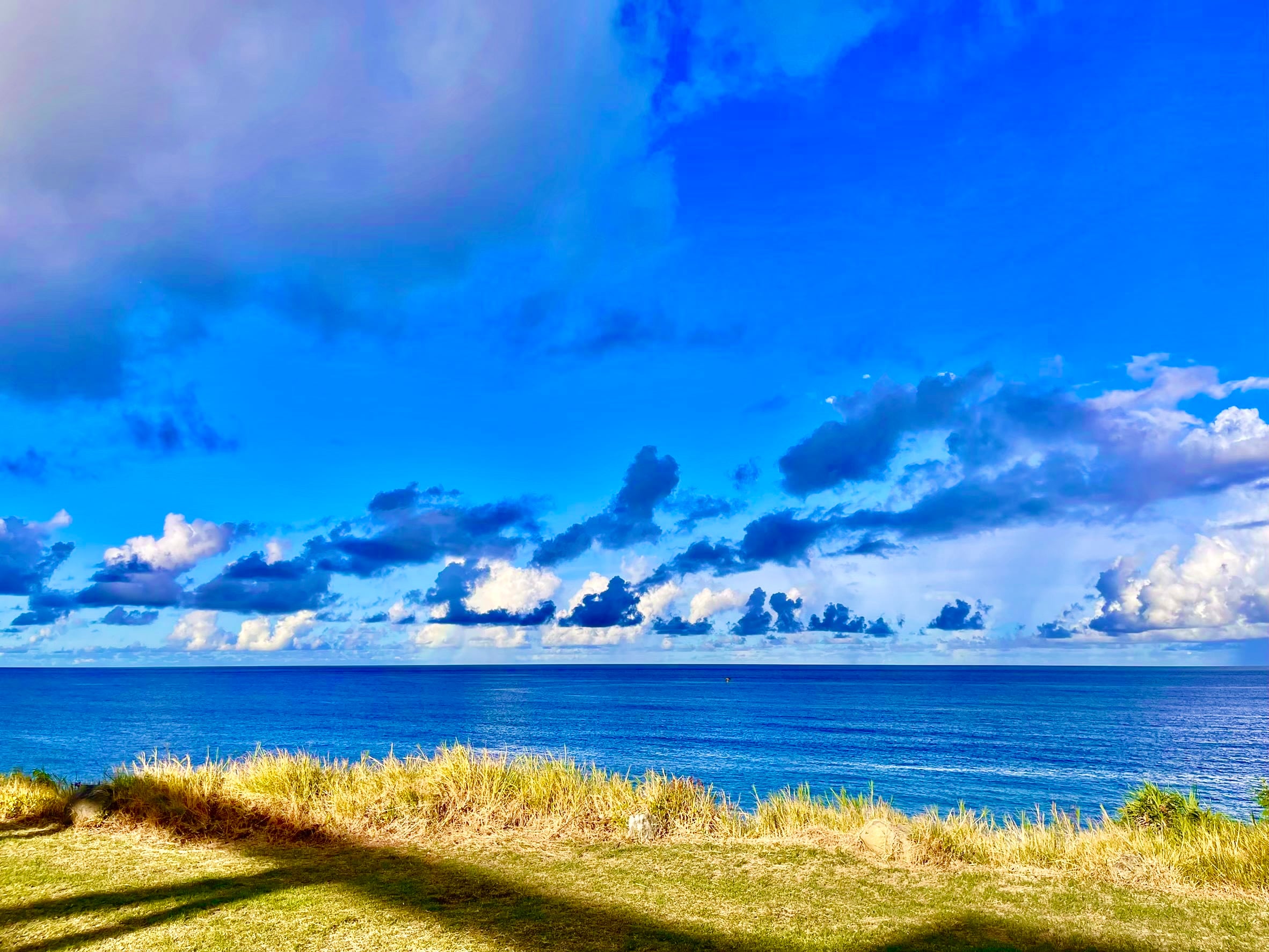 春節漫遊臺東！在地連結永續行動 饒慶鈴邀您體驗山海療癒之美