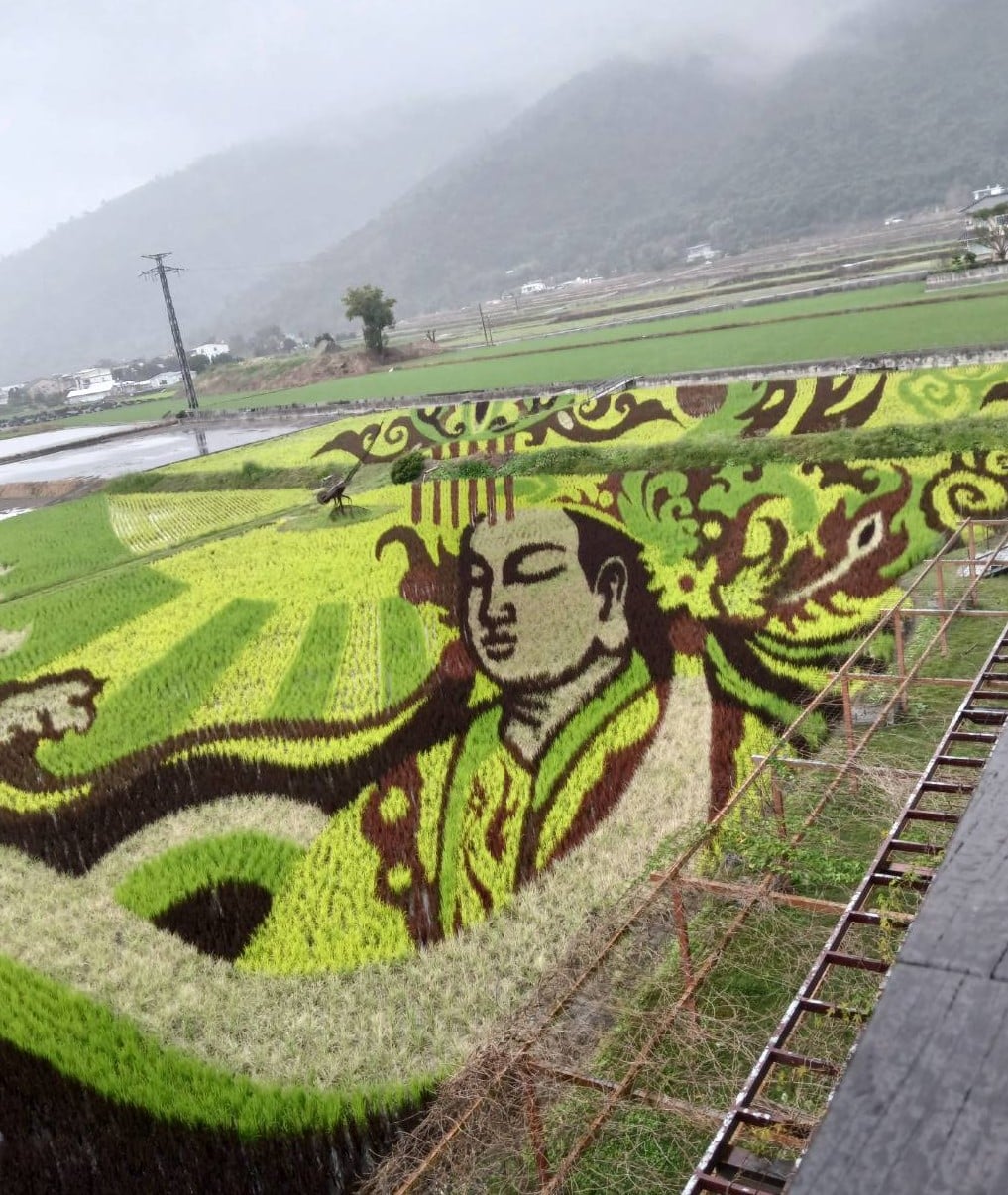 關山稻田彩繪再添新作　《天后邸家》傳遞信仰與土地的祝福