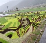 關山稻田彩繪再添新作　《天后邸家》傳遞信仰與土地的祝福