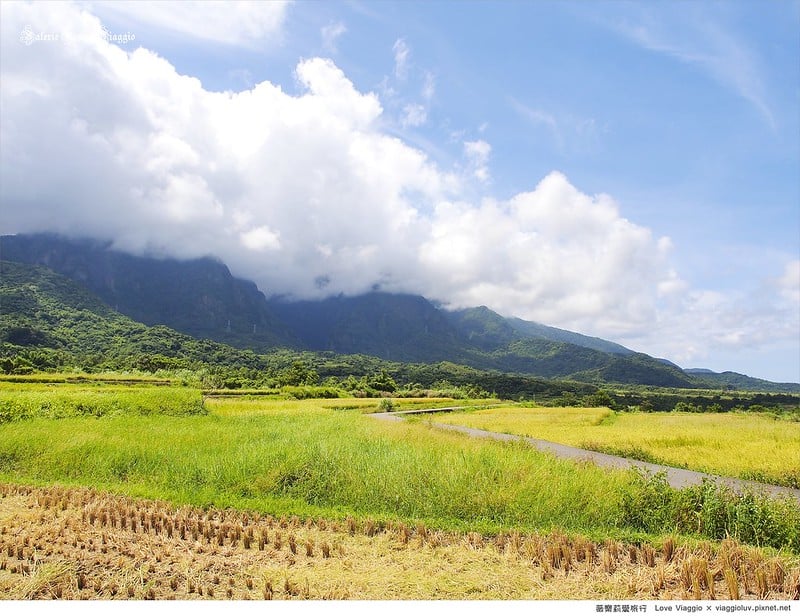 山海賽道甜蜜回歸！2026「晚崙西亞東河馬拉松」3/21東河熱血登場 前200名送KANGOL旅行包