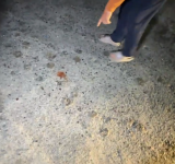 疑網路簽賭債務引衝突　台東卑南深夜討債爆砍人案兩男傷