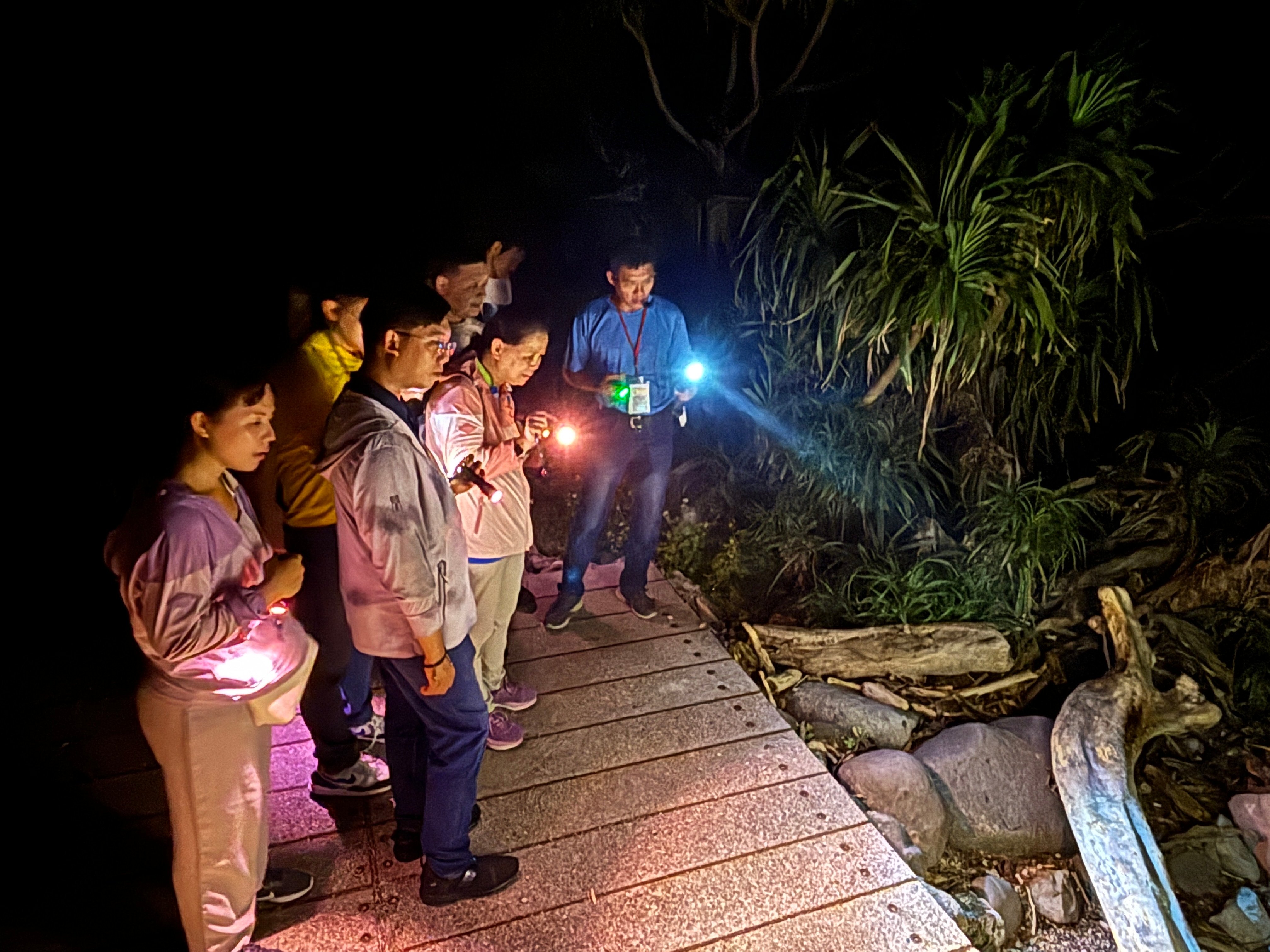 「夜探三仙台」4/1起正式登場 ! 在地專業解說員帶領 距離觀察寄居蟹、蛙類等生物