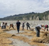 農廢再利用！卑南溪小黃山「稻草蓆覆蓋」防塵行動