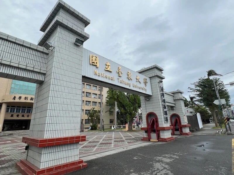 進修趁現在！臺東勞工大學夏季班開課 報名5折 尋寶再享200元優惠