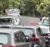 鹿野深夜傳槍響