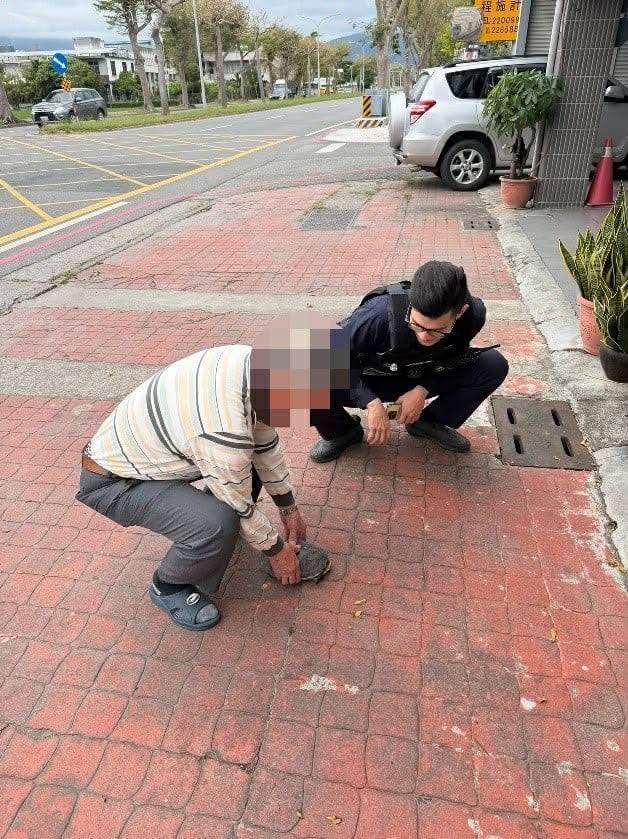 龜速險誤闖馬路　永樂警察守護迷途烏龜