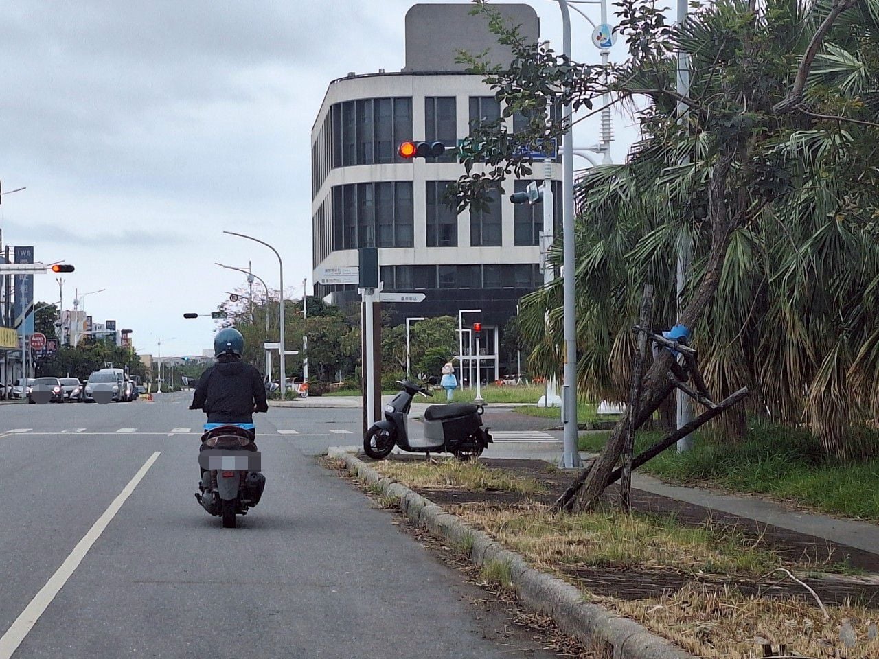 雜草生長旺盛　臺東加強空地管理巡查宣導 守護城市安全與市容