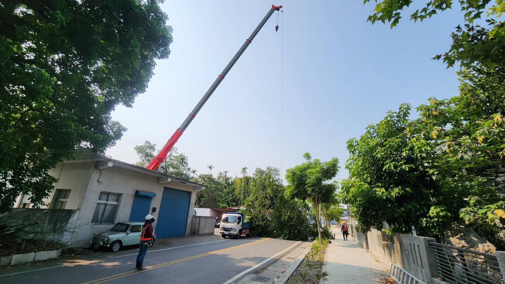 未雨綢繆防範颱風季災害　關山警察攜手國產署排除高風險樹枝守護民眾安全