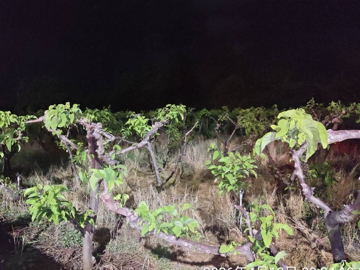 農田施肥傳異味案件東縣環保局嚴查呼籲民眾施肥期間勿影響環境