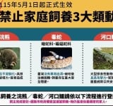 家有特殊寵物要注意！5/1新增禁養動物 未登記最高罰25萬