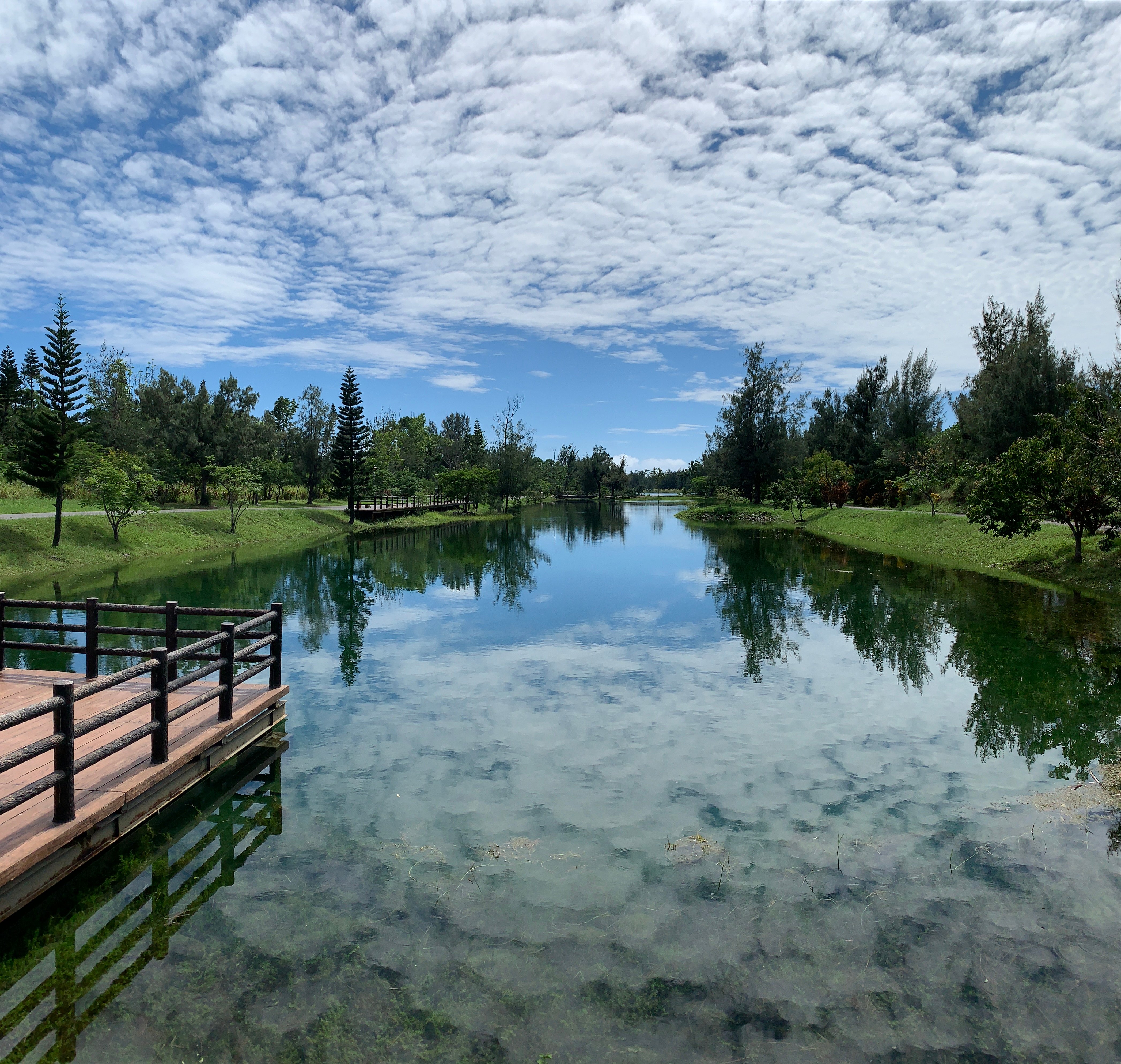 免費享受「280公頃綠地森林公園、活水湖、步道」 ! 縣府 : 台東森林公園5/1起取消入園、停車收費