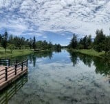 免費享受「280公頃綠地森林公園、活水湖、步道」 ! 縣府 : 台東森林公園5/1起取消入園、停車收費