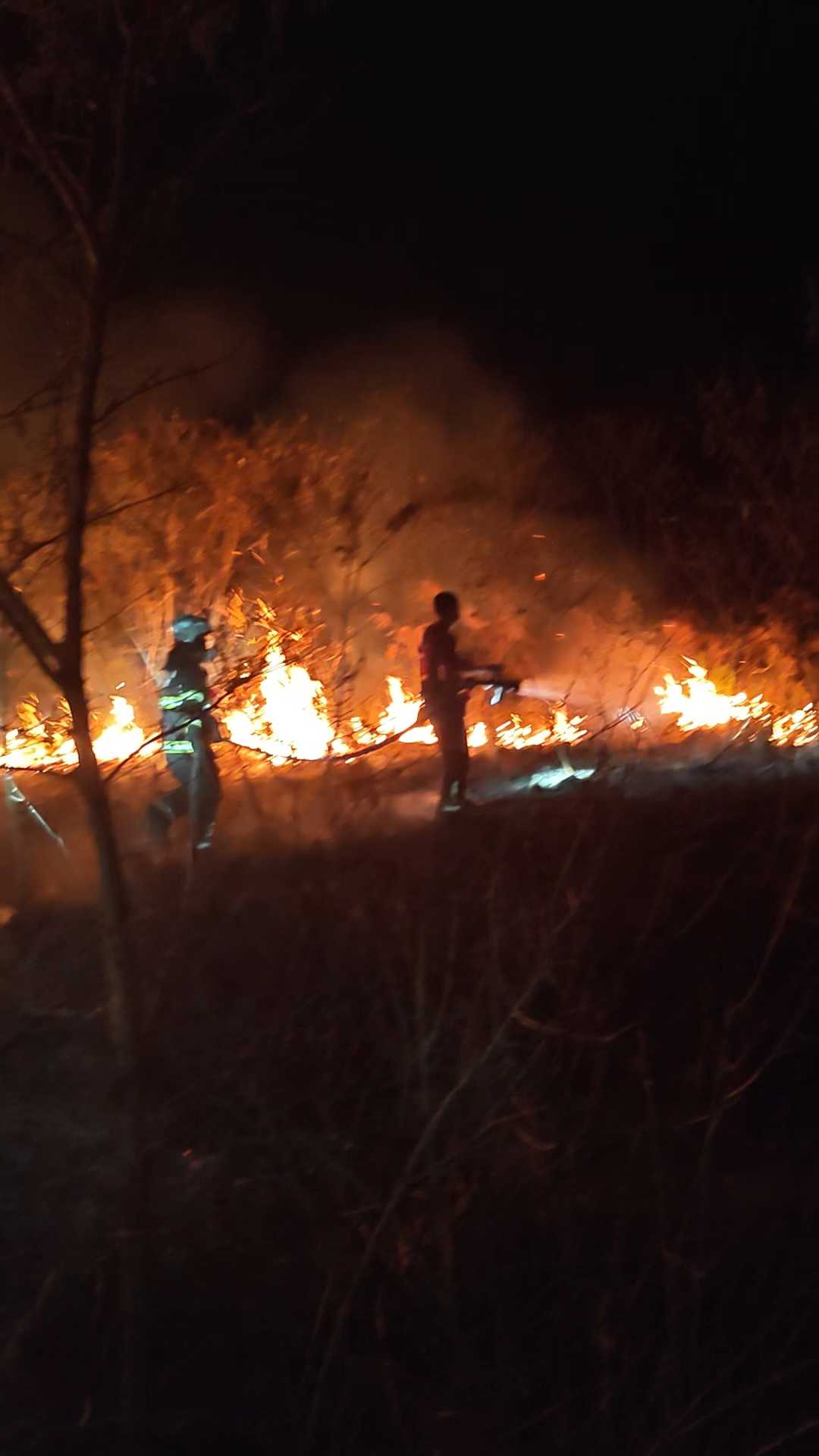 火燒知本濕地 ! 3公尺高灌木叢遮蔽 搶救困難燃燒約6公頃