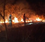 火燒知本濕地 ! 3公尺高灌木叢遮蔽 搶救困難燃燒約6公頃