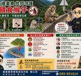 猴群下山到海岸線了 ! 成功分局提醒 :勿餵食維護人猴安全