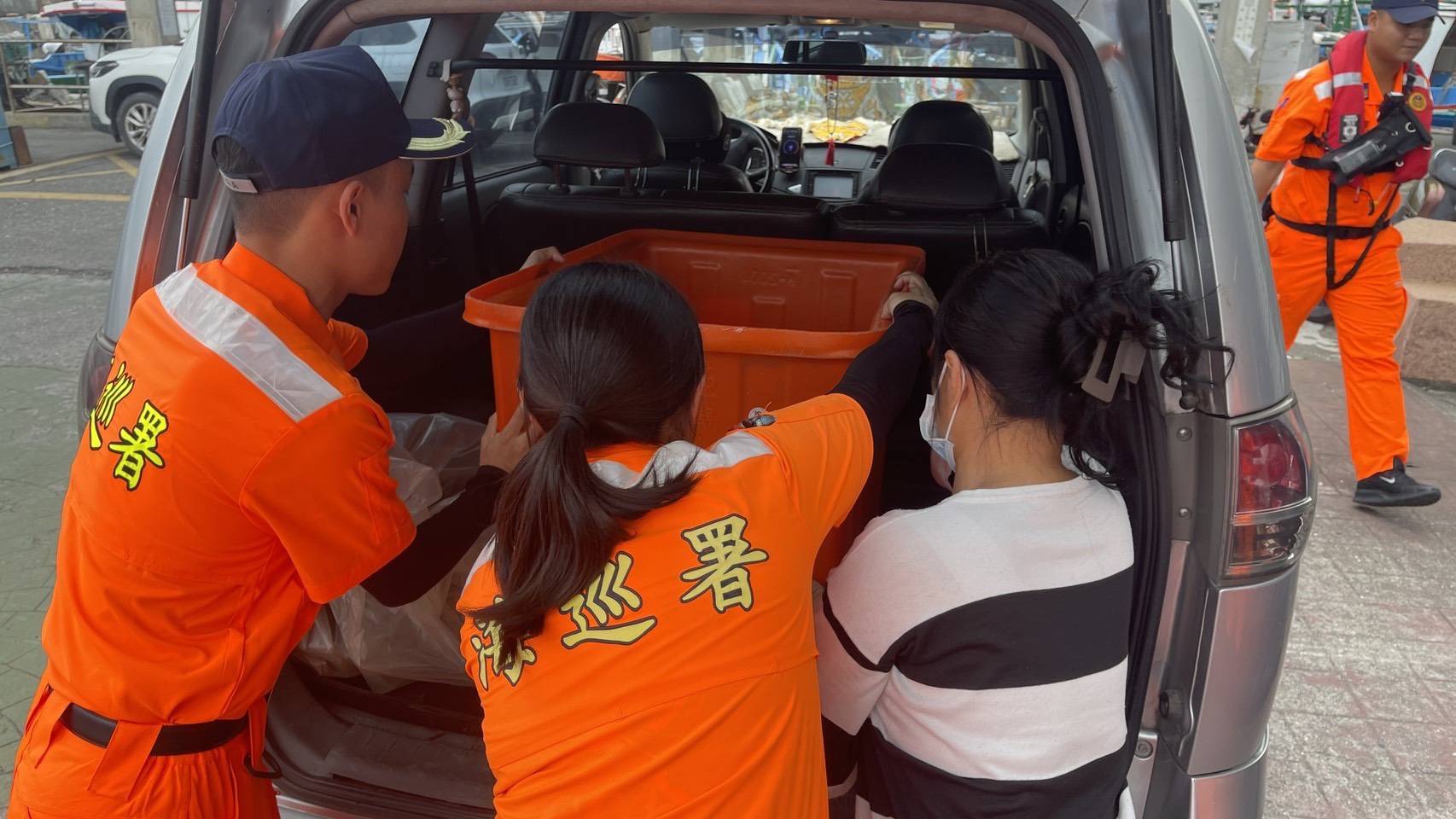 杉原灣海龜遭漁網纏繞　海巡即刻救援送醫保育