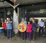 首尾「黑鮪魚」彩頭 !「盛泰豐號」漁船勇奪 縣府頒發20萬元獎勵