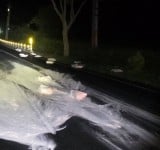臺9線鹿野段深夜變「溜冰場」！