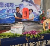 黑鮪魚季正式展開 臺東頒20萬獎金 饒慶鈴主持第一尾黑鮪魚拍賣