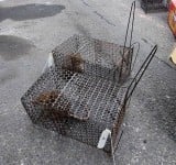 沒有老鼠接觸史、感染源調查中 ! 今年漢他病毒症候群 第二例個案已出院