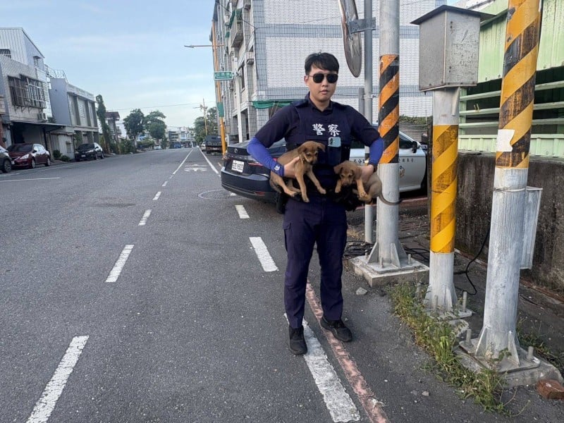 深耕轄區秒認出「誰家的狗」，守護生命也守住交通安全