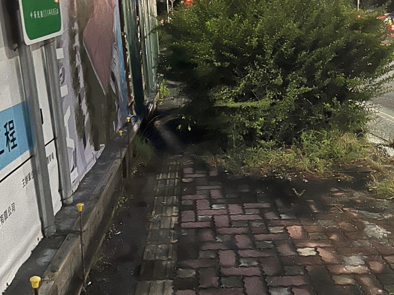娜路彎大酒店旁人行道「遭路樹占據」行人被迫走上車道 民怨：觀光門面不該讓安全打折