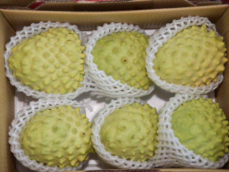 陳瑩肯定饒慶鈴政績　林文隆：既然認同，未來縣政是否延續？