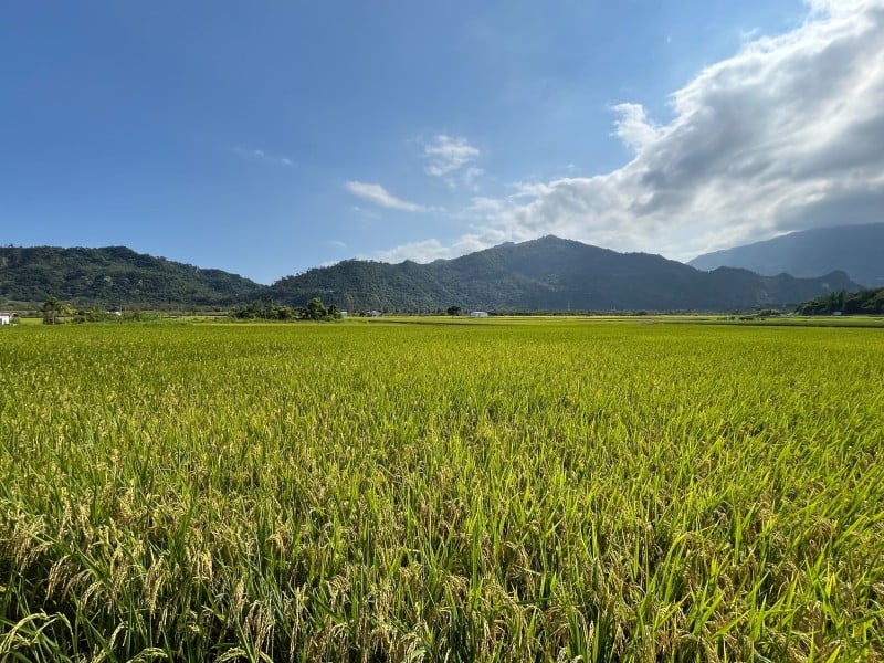 延續縣有耕地放領成果 ! 持續推動「國有耕地放領」卑南44筆土地20日公告