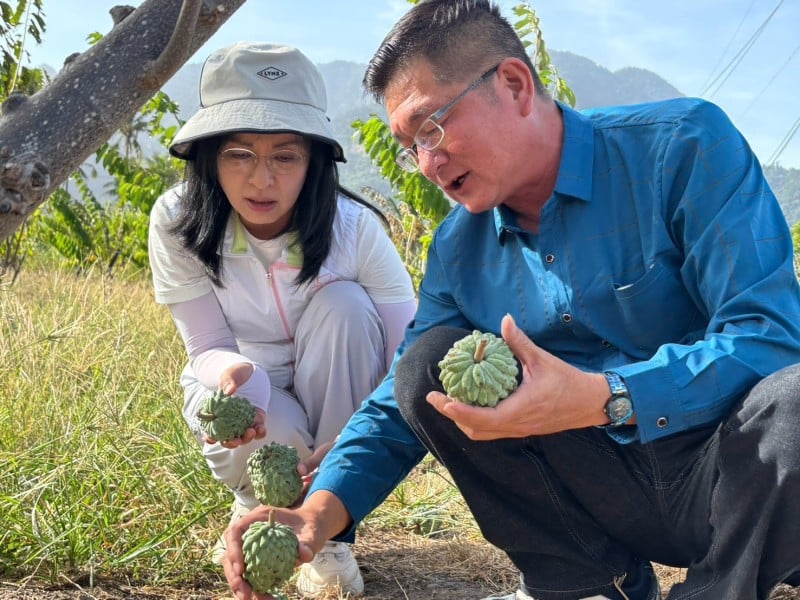 陳瑩赴果園、漁港勘災！要求農業部加速補助作業