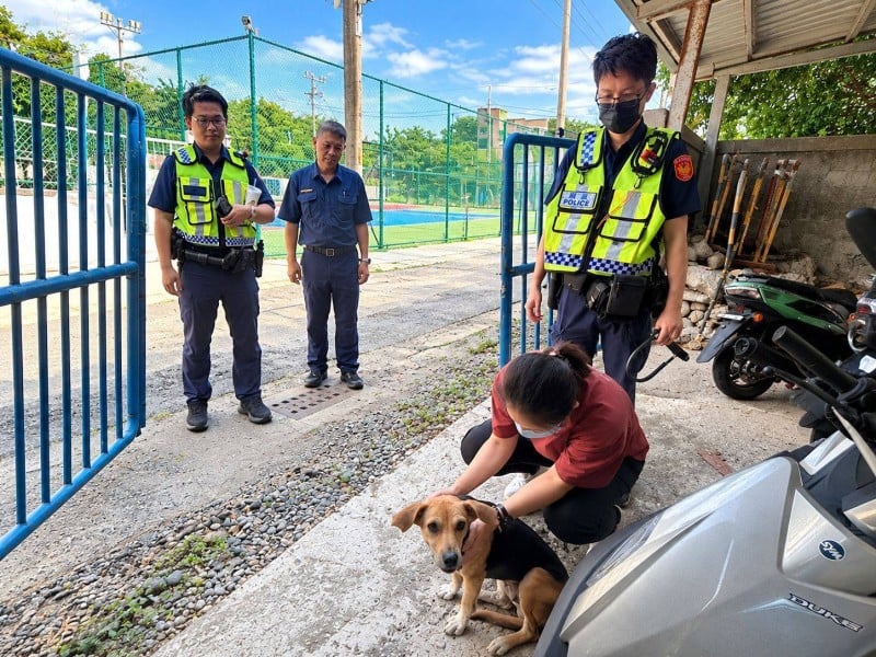 毛小孩自己找警察？網路巡邏助攻返家