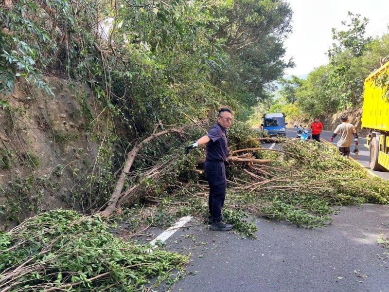 颱風吹倒樹木擋路，攜手眾人齊心清障