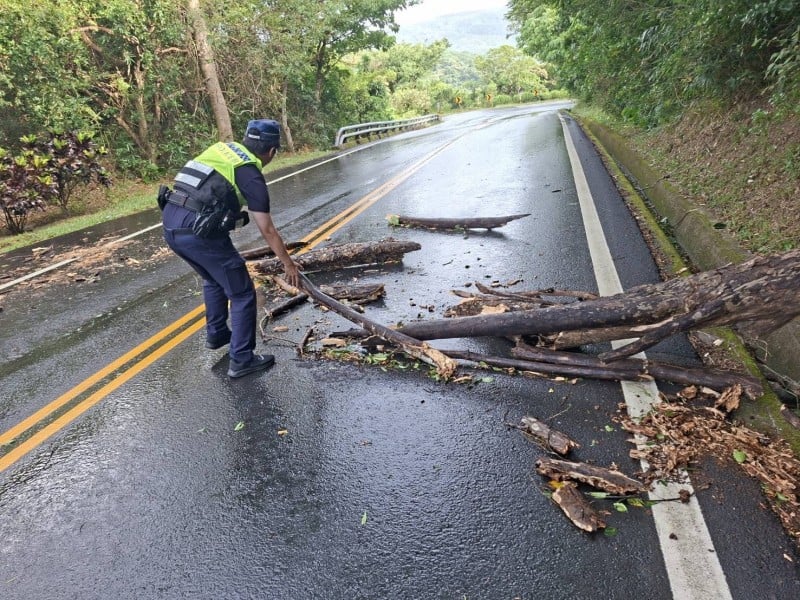 颱風過後路樹倒塌阻路，即時排除守護行車安全