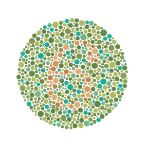 Ishihara_11.PNG