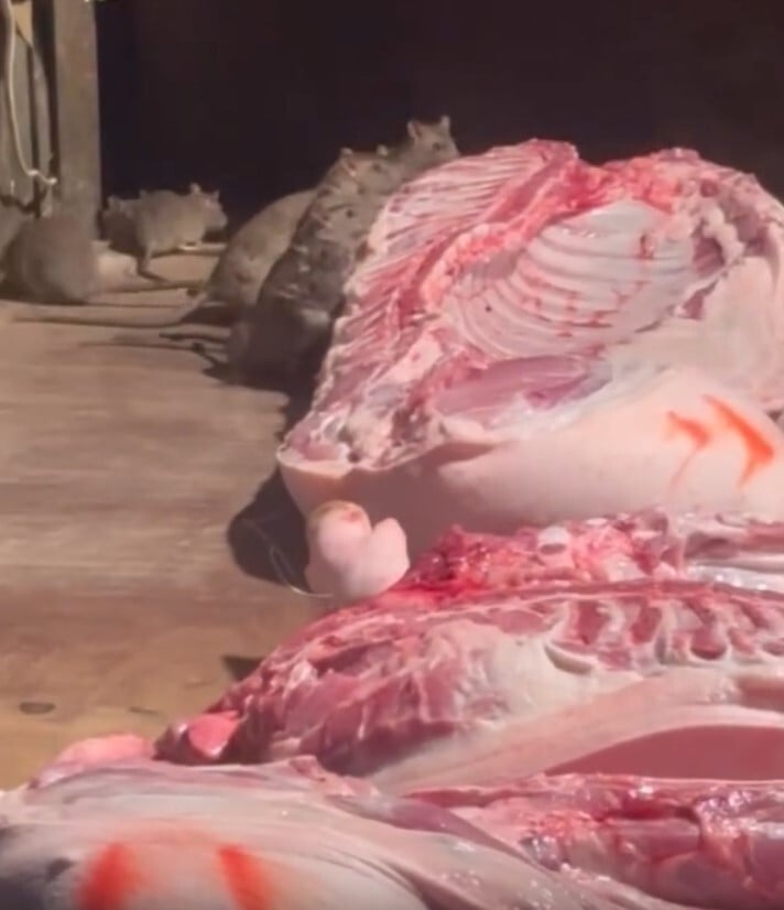 螢幕擷取畫面 2026 02 07 214047