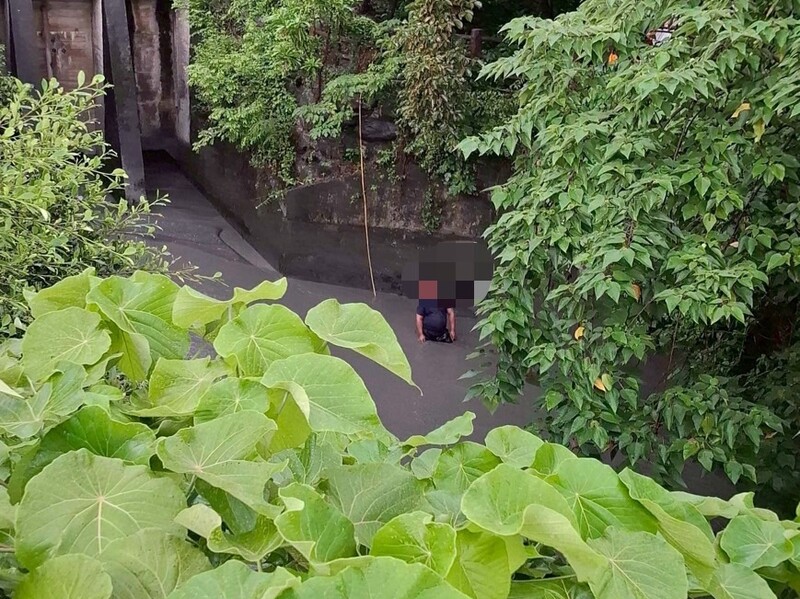 台東親水公園02.jpeg