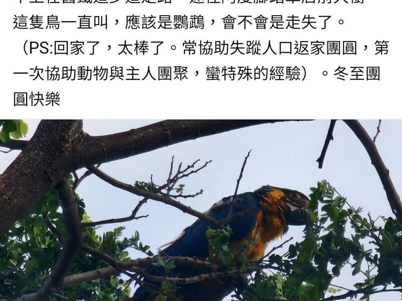 尋鳥01.jpeg