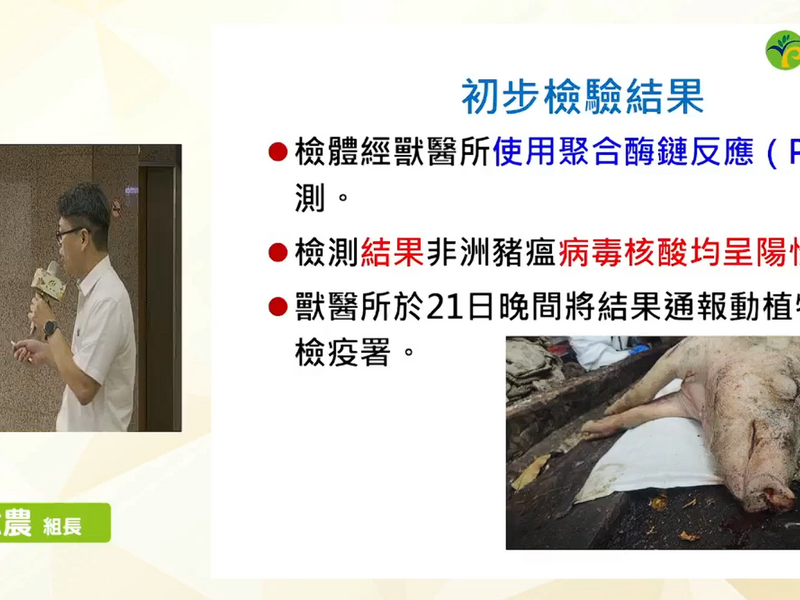 豬瘟01.png